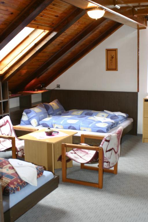 Pension U Vlasku Karlovy Vary Chambre photo